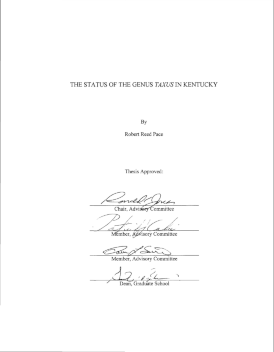 Thesis