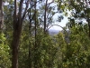 mt-coot-tha-lookout003