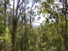 mt-coot-tha-lookout004