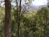 mt-coot-tha-lookout011