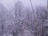 ellis_2nd_snowfall043