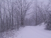 ellis_2nd_snowfall054