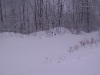 ellis_2nd_snowfall075