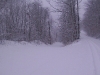 ellis_2nd_snowfall076