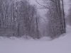 ellis_2nd_snowfall077
