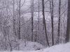 ellis_2nd_snowfall078