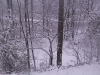 ellis_2nd_snowfall087