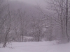 ellis_2nd_snowfall102