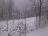 ellis_2nd_snowfall103