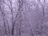 ellis_2nd_snowfall109