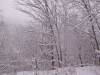 ellis_2nd_snowfall110