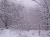 ellis_2nd_snowfall111