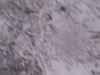 ellis_2nd_snowfall116