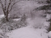 ellis_2nd_snowfall120