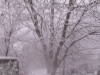 ellis_2nd_snowfall121